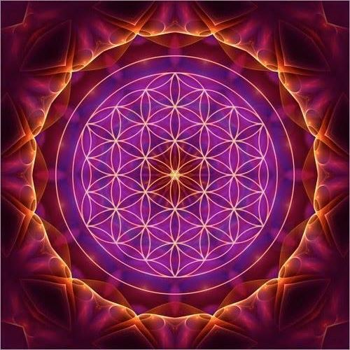 10537128_10203581367228805_7052672791175714781_n