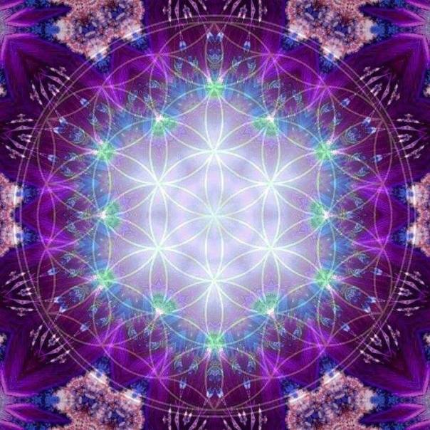 violetlightfloweroflife